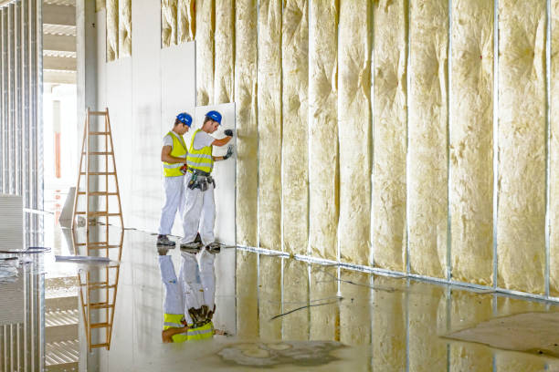 Professional Insulation in Walker Mill, MD